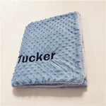 Minky personalized baby blanket